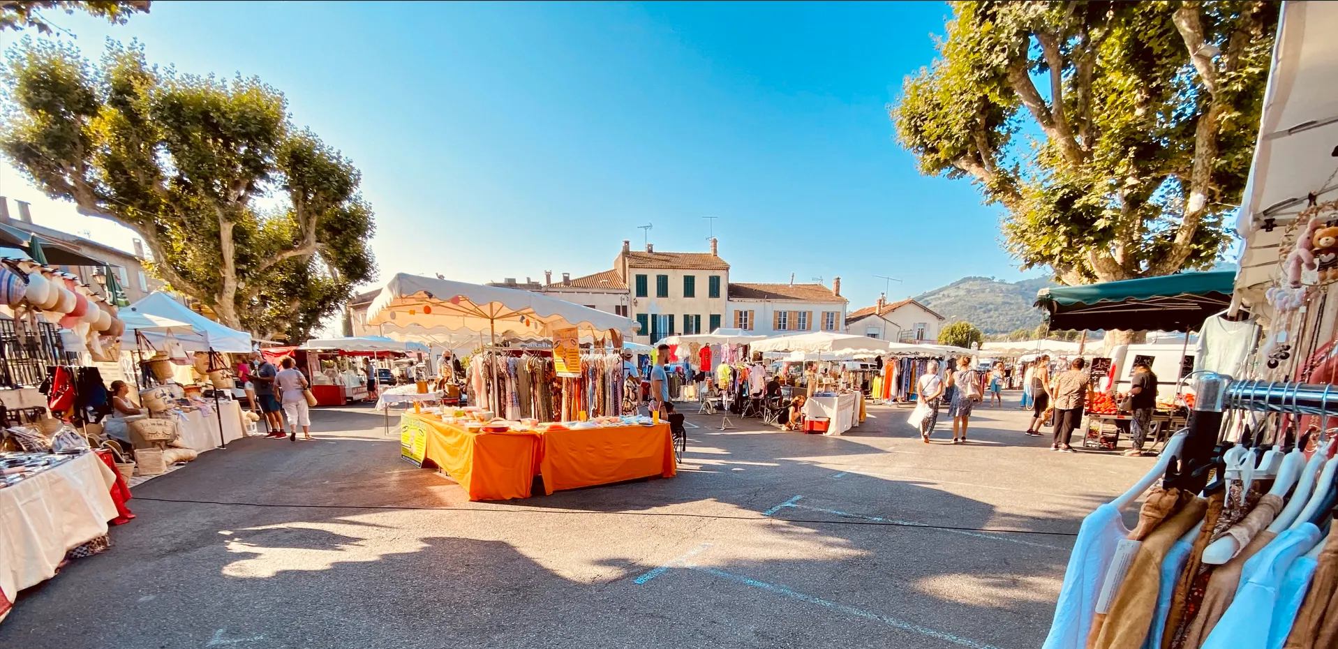 Grasse farmer's market