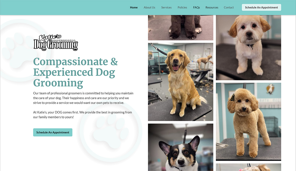 Dog Care Katie's Dog Walking Service Dog Grooming In