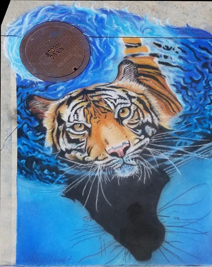 2017 Kerrville Chalk Festival