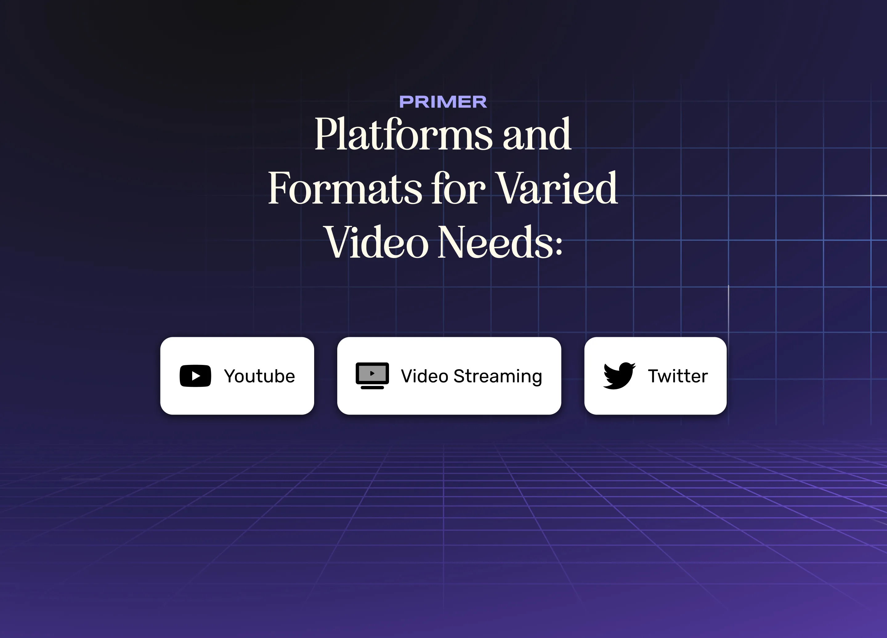 Infographic showing different video platforms and formats used in digital marketing