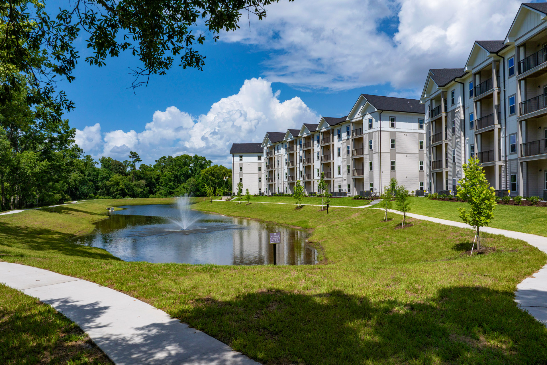 Photo of pond next to an apartment complex.