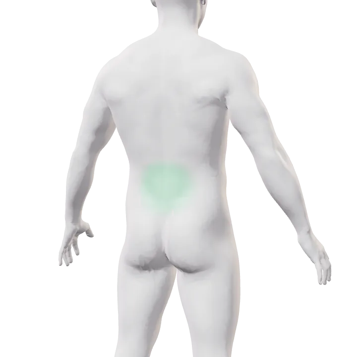 Espalda con una ligera señal verde en la zona lumbar
