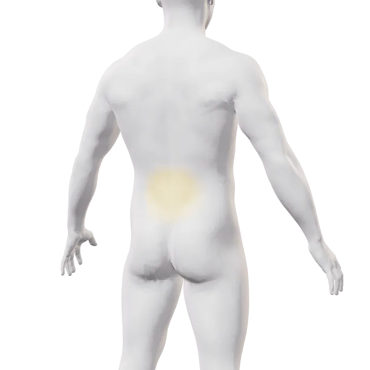 Espalda con la zona lumbar de nuevo en amarillo suave