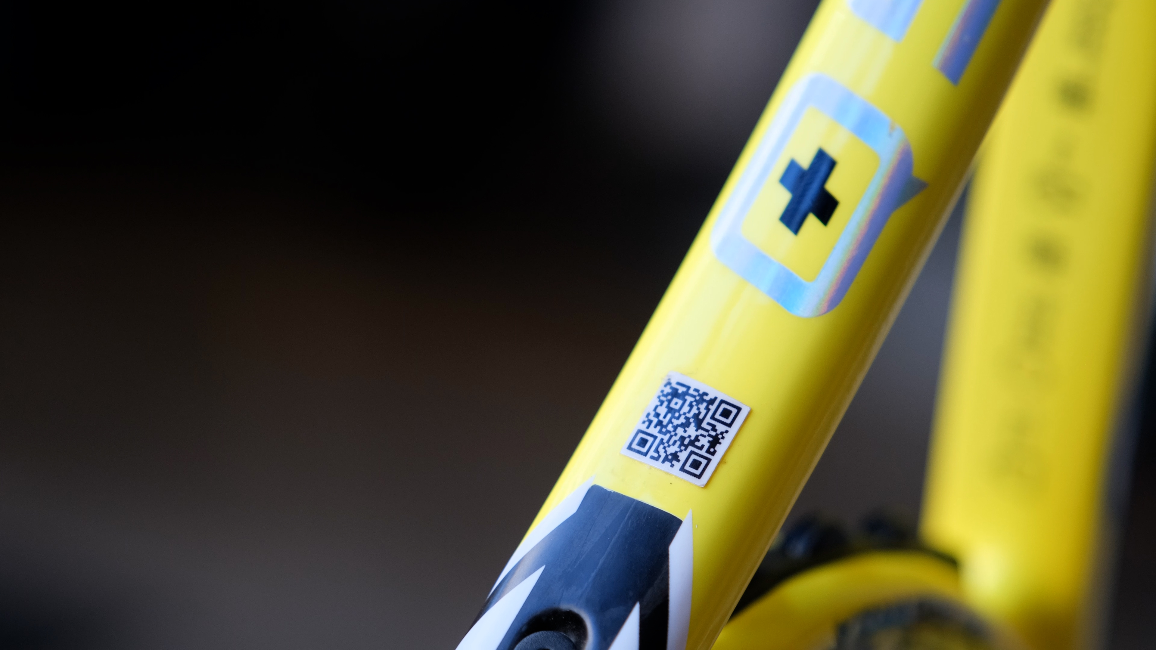 qr raquette