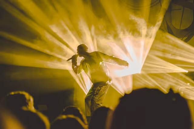 Musician performing at a concert