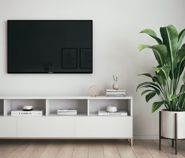 TV
