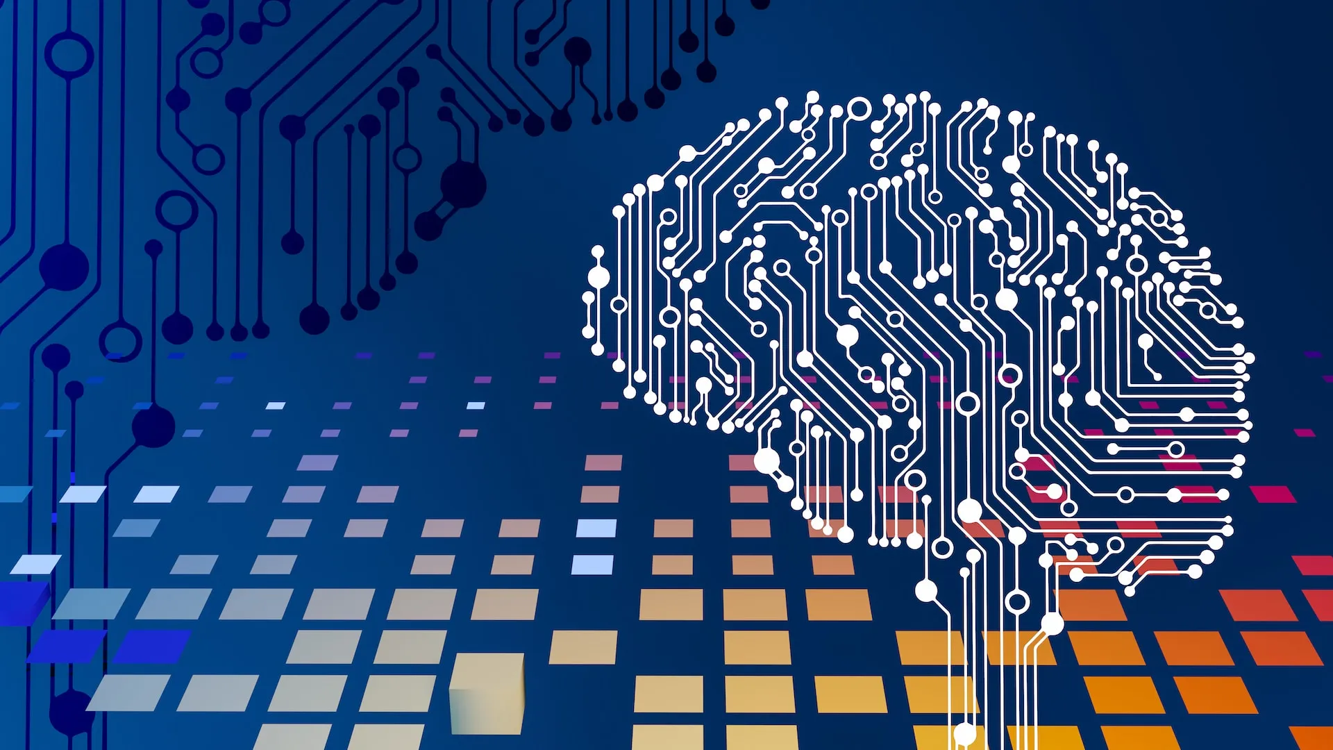 Brain circuits