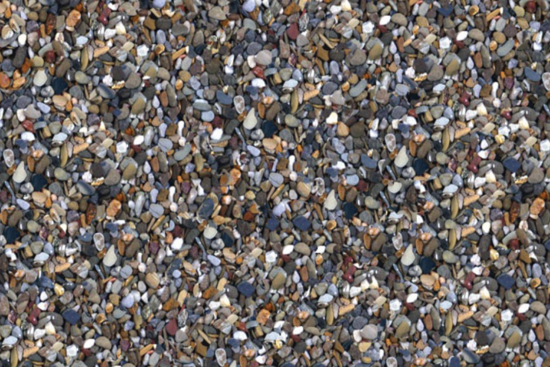 Growing Beds Recycling Services Slow Shredder