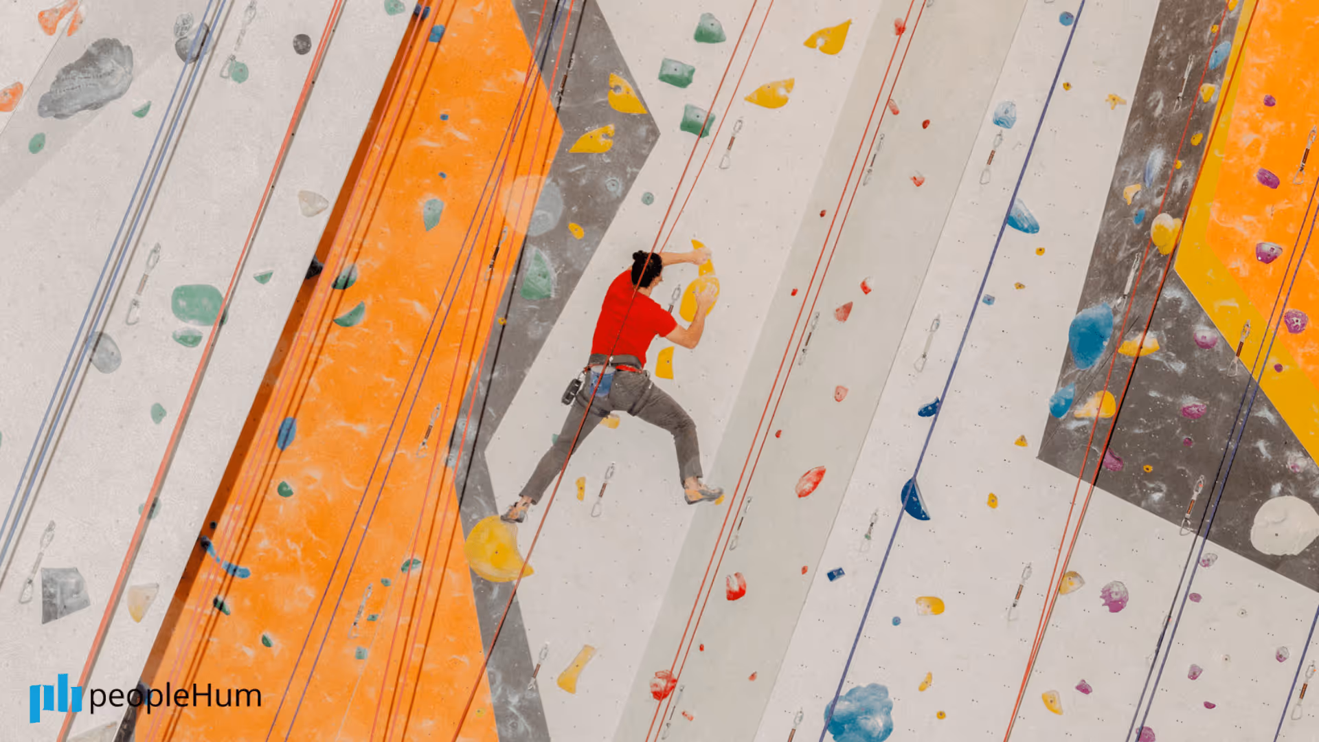 Scaling your organization