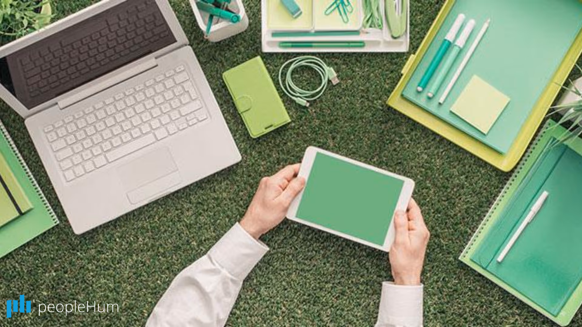 Plan eco-friendly events for your business