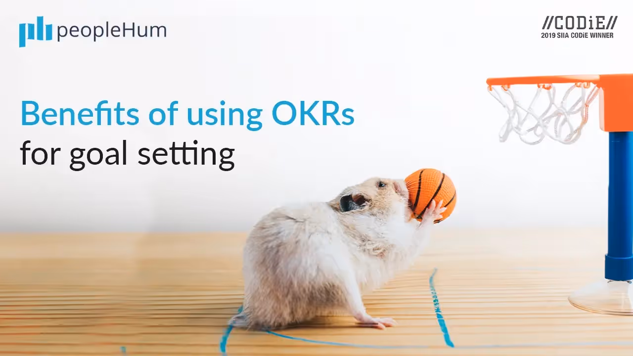 Benefits of using OKRs for goal setting