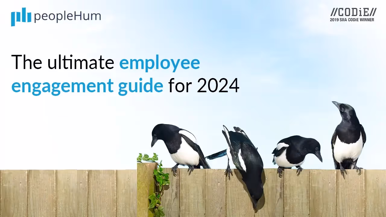 Homepage Blog Card Image