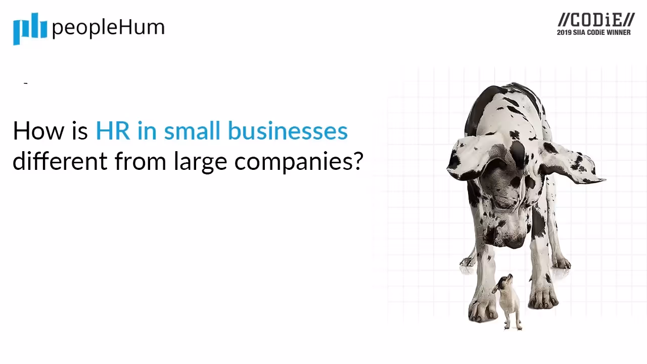 How is HR in small businesses different from large companies?