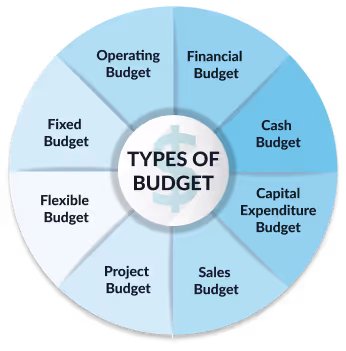 types of budget infographics by peoplehum