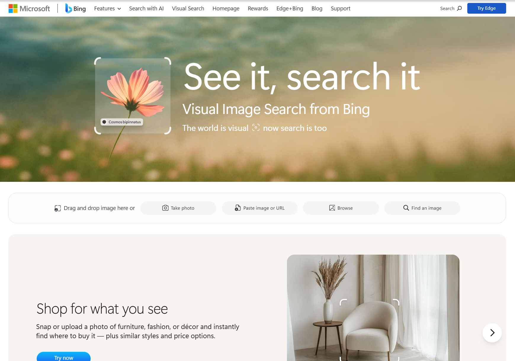 Bing Visual Search upload box