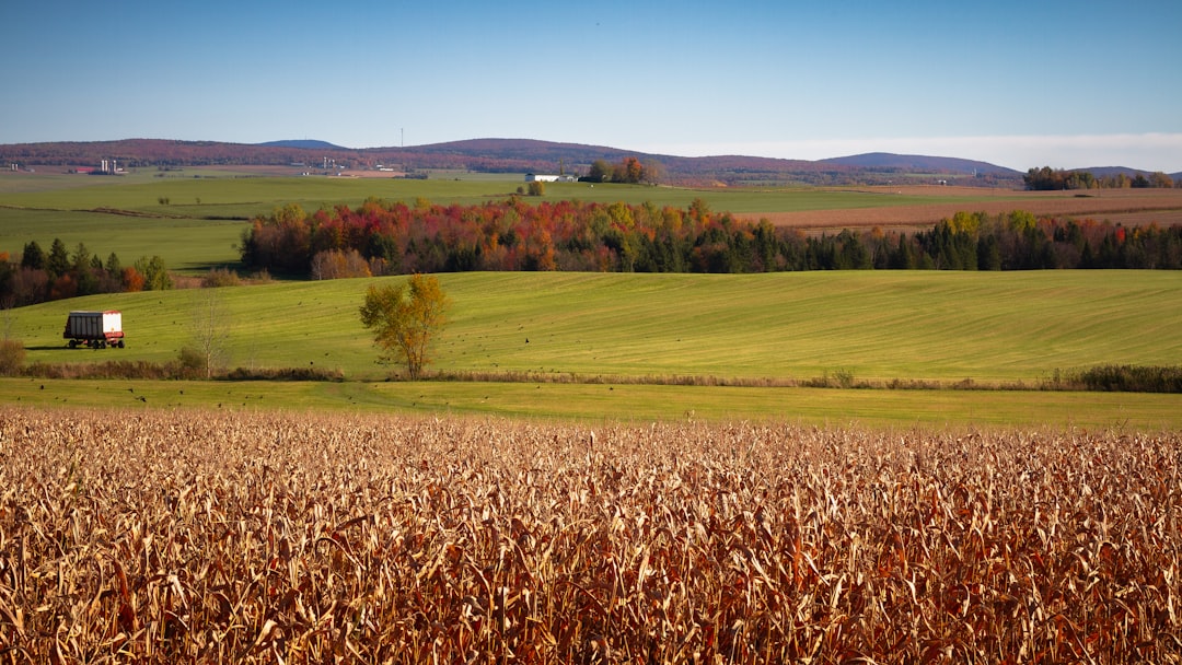Accountant for a farm and an agricultural business in Quebec in 2026