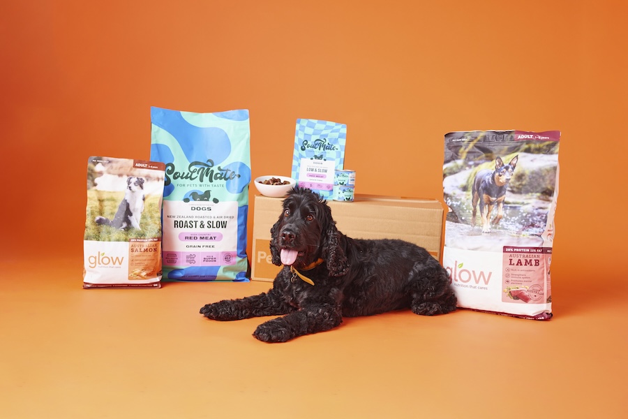 Dog modelling with bags of dog food