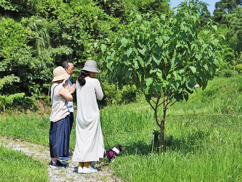 森の墓苑|草木と共に眠り自然に還るお墓