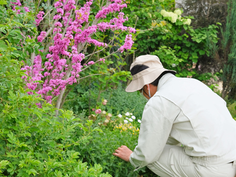 八千代ふれあいパークのスタッフ