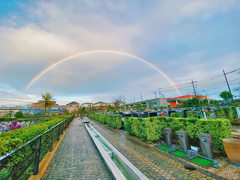 八千代ふれあいパークにかかる虹
