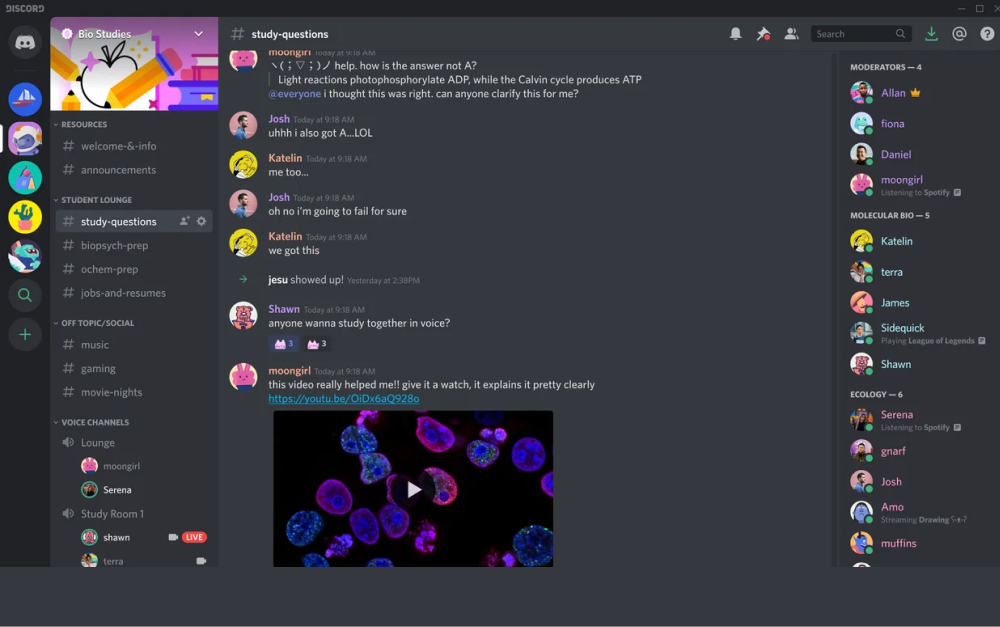 Discord interface used as team communication tool