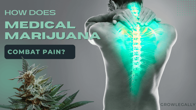 How To Qualify For Medical Marijuana In Canada | GrowLegally