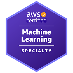 'AWS Certified Machine Learning - Specialty' Professional Training