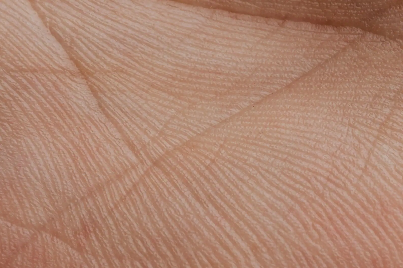 picture with the skin texture, striations, fingerprints in the palm of the hand. In this case suggesting the importance in detail during an ADHD assessment.