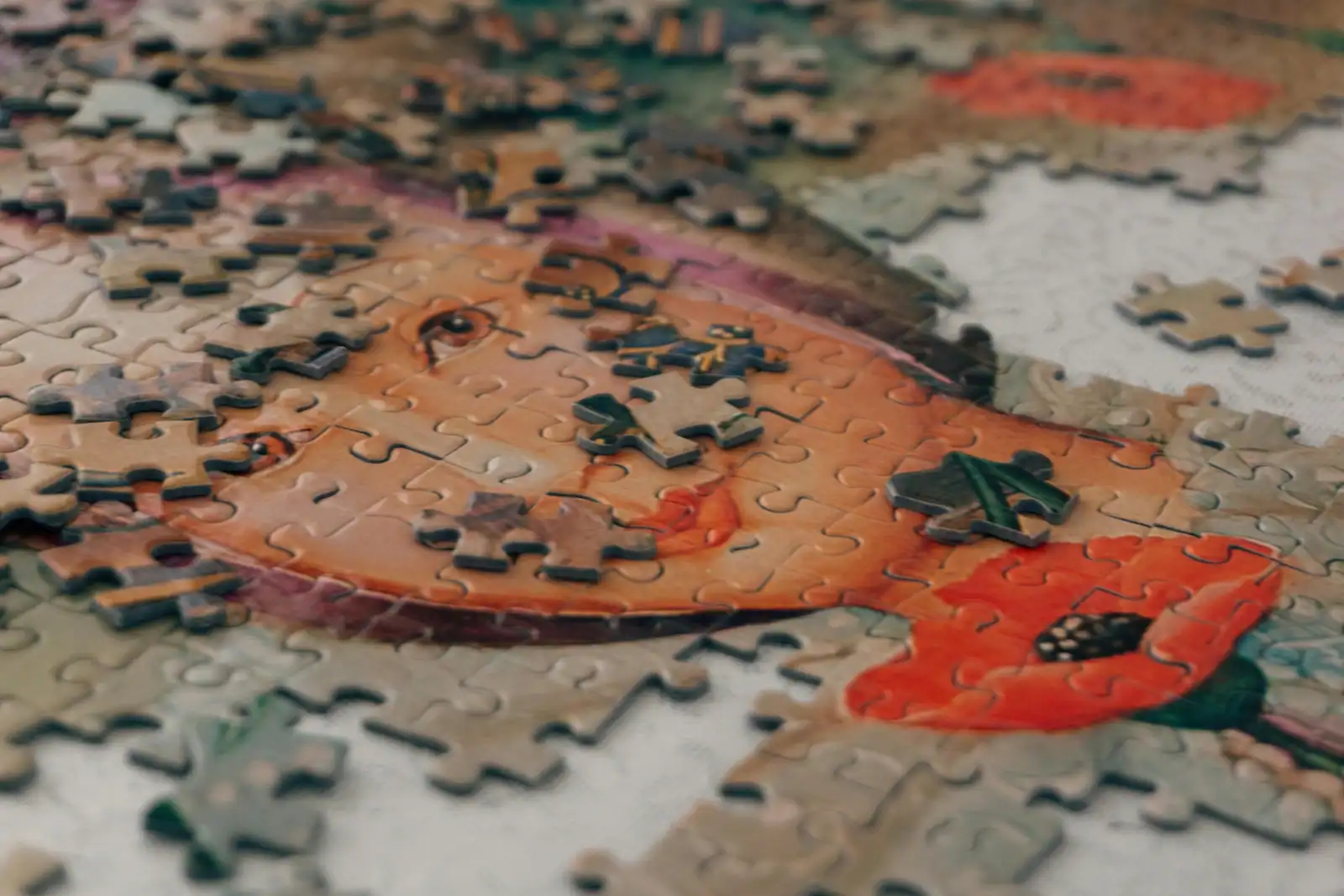 picture of a portrait puzzle unsolved and in certain areas solved in the wrong way. This suggests that in the ADHD journey co-occuring conditions mental health and physical health can delay or prevent a shared care agreement. 