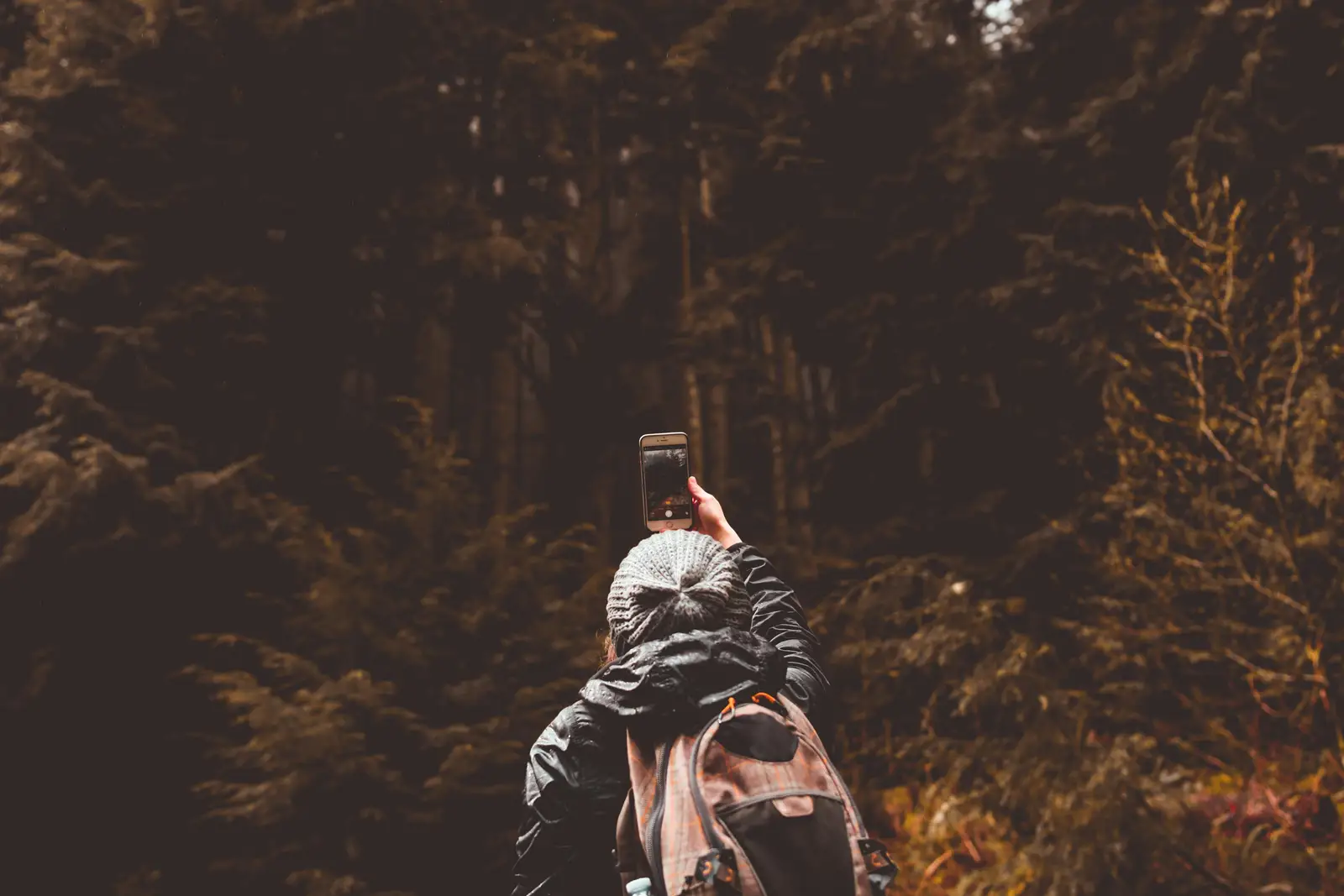 Picture of someone adventuring in the woods while holding the mobile phone