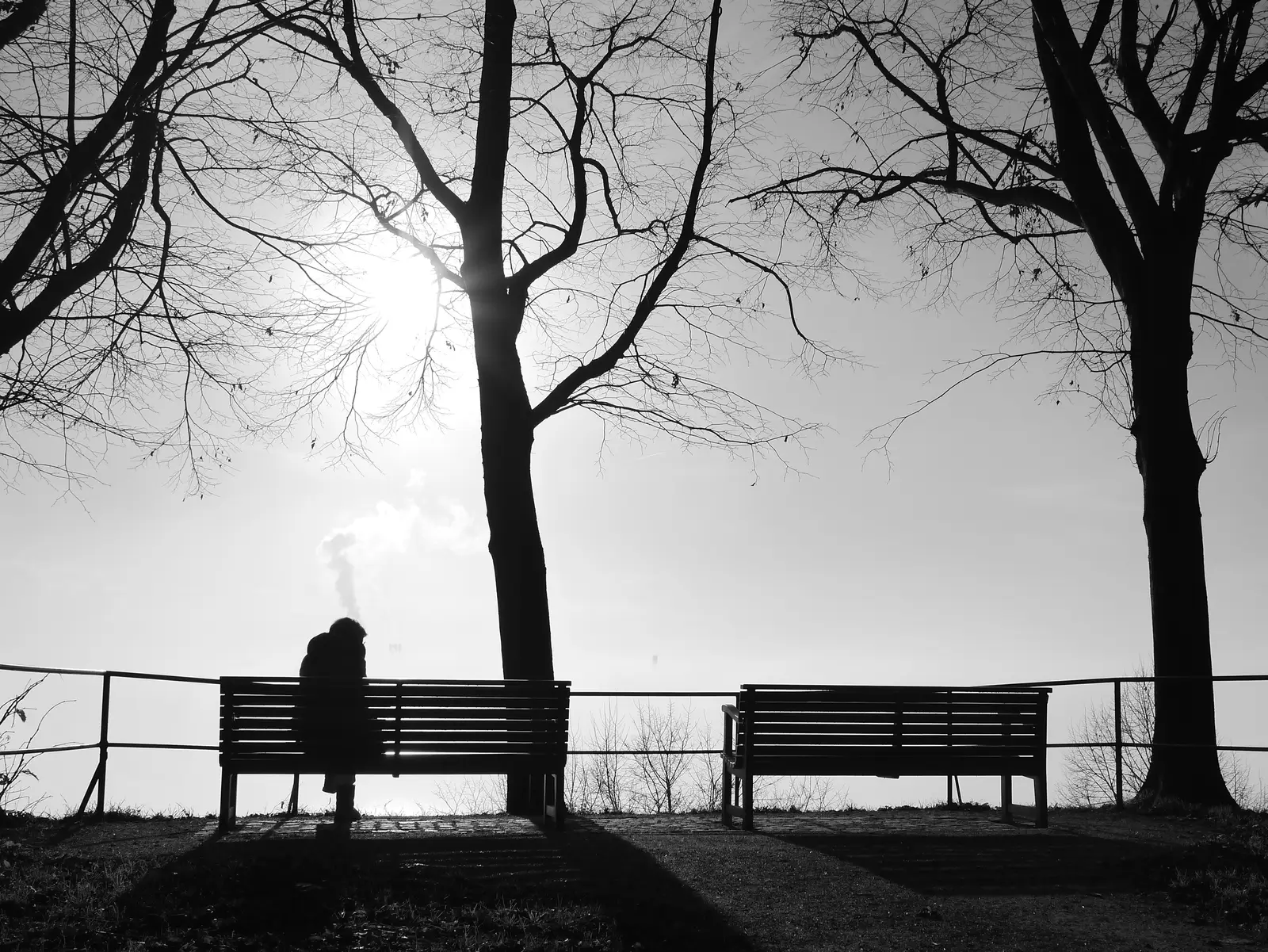 picture of an adult woman sitting by herself, isolated.