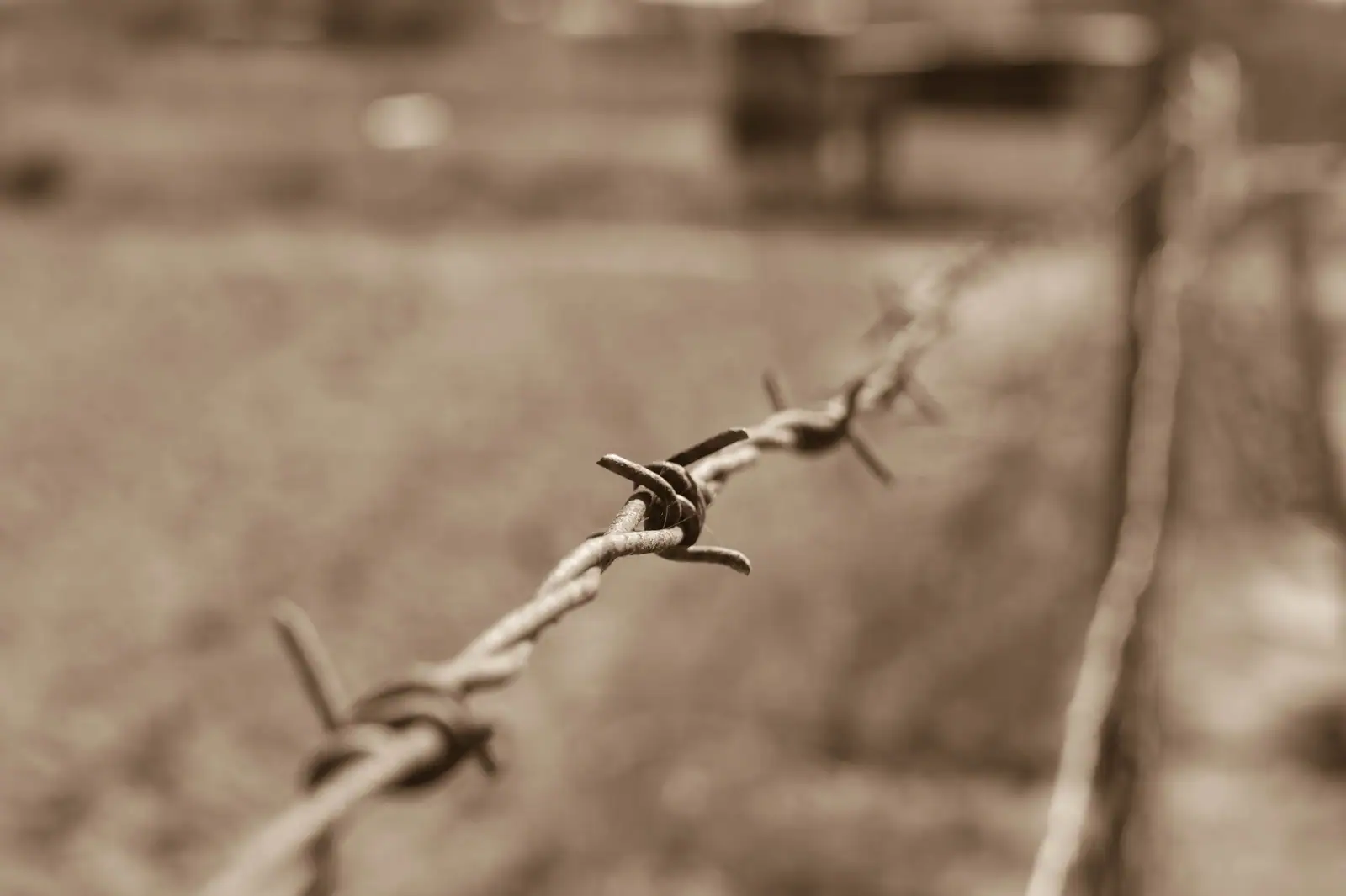 Black and white artistic picture of barbed wire suggesting the boundaries and difficulties in social life. 