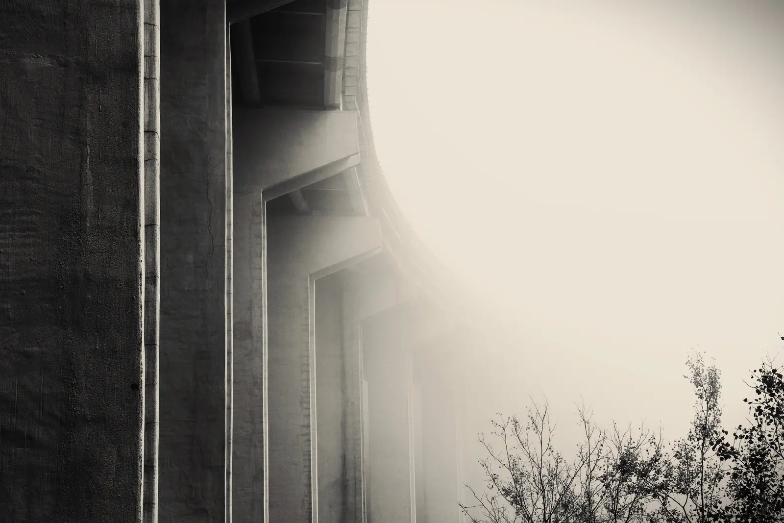 Architectural picture black and white with solid pillars supporting a long round suggesting the extensive journey, adaptability and resilience. 