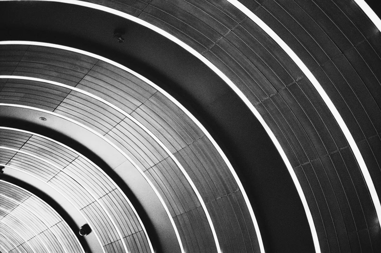 Black and white artistic architectural picture  blending the shape to be resilient, yet have a great adaptability. 