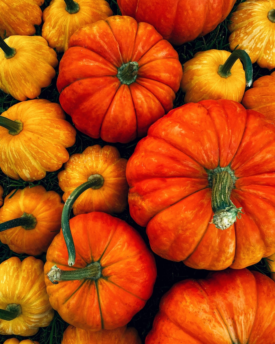 Recently Ordered Item