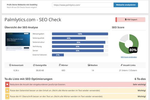 Seobility SEO Check Beispiel Palmlytics