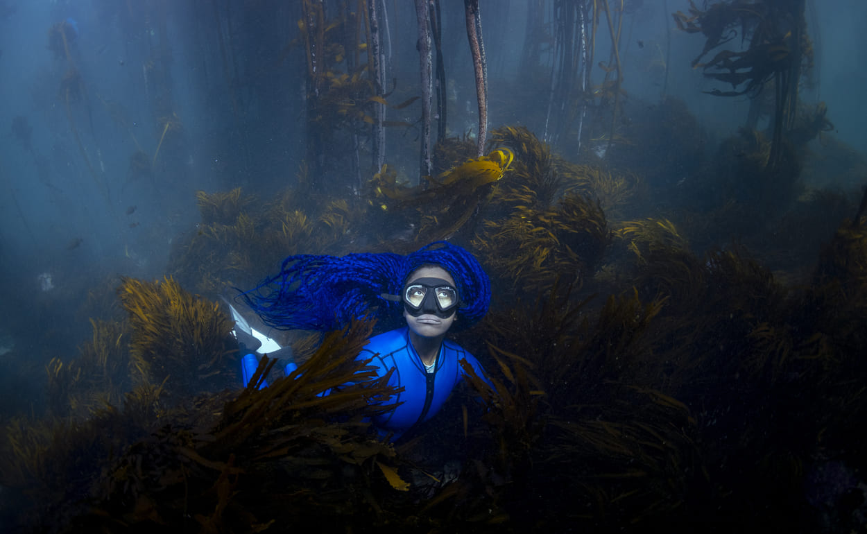 Shaped by Water documentary website showcasing 11th Hour Racing ocean conservation storytelling and interactive design