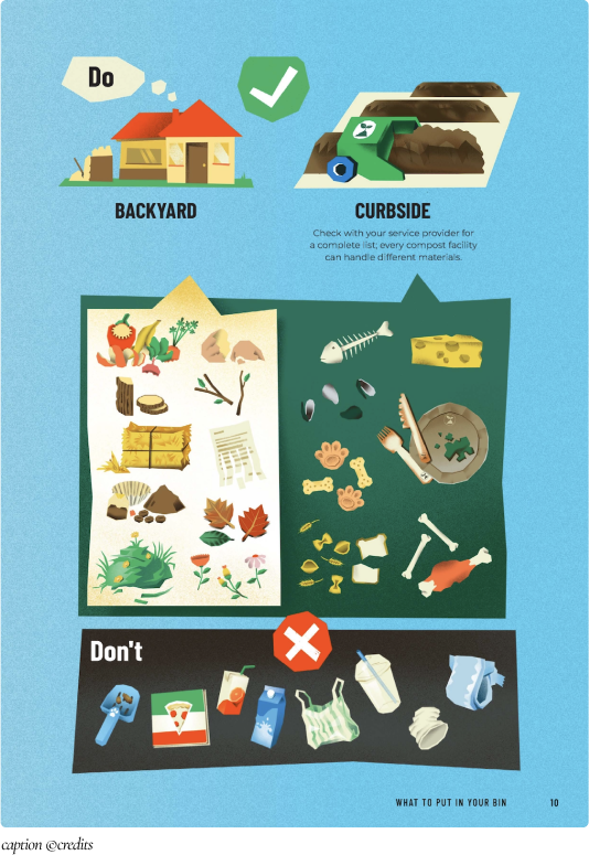 Bespoke illustrations breaking down composting facts