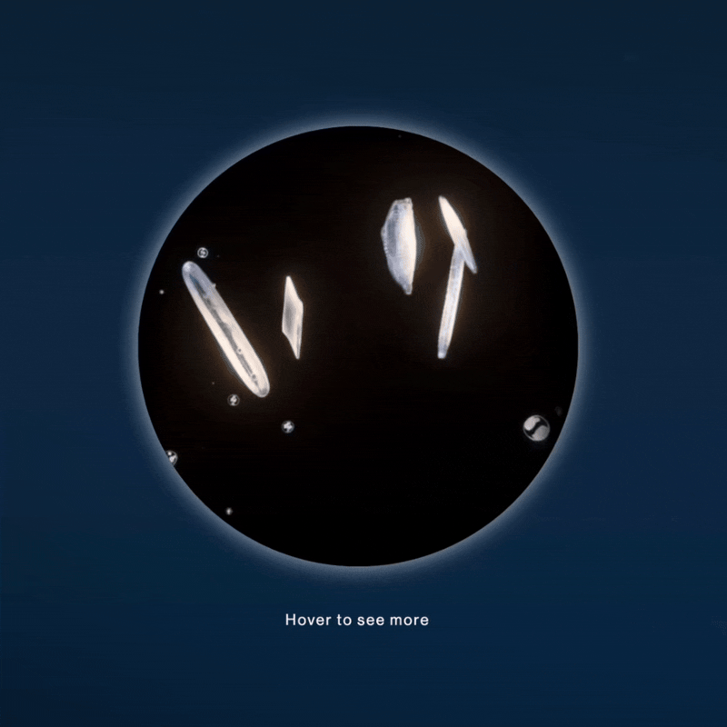 Hover states and interaction with bespoke illustration