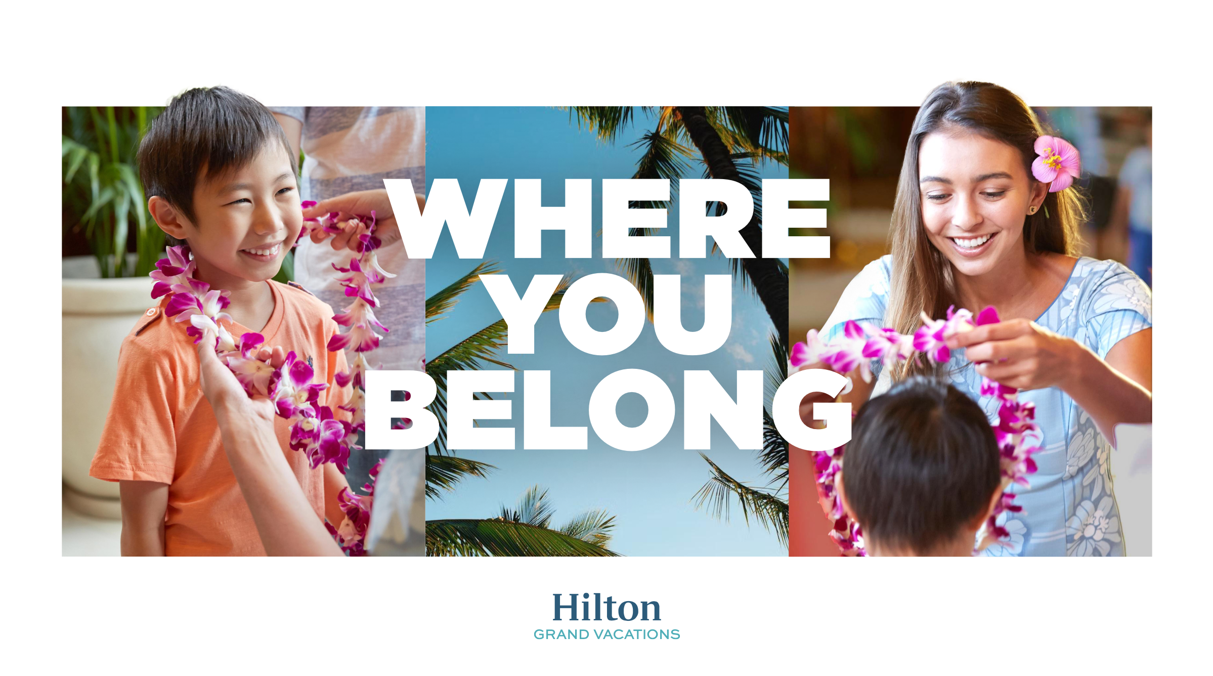 HGV messaging strategy collaboration with HLabs