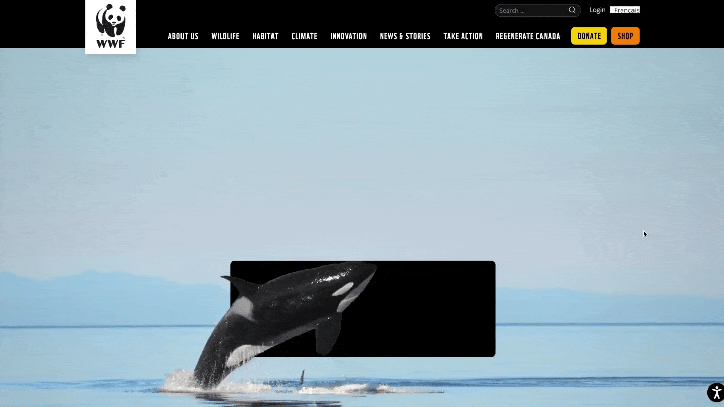 Scrollytelling for WWF-CA annual report