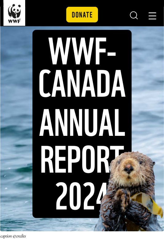 WWF-Canada Annual Report 2024