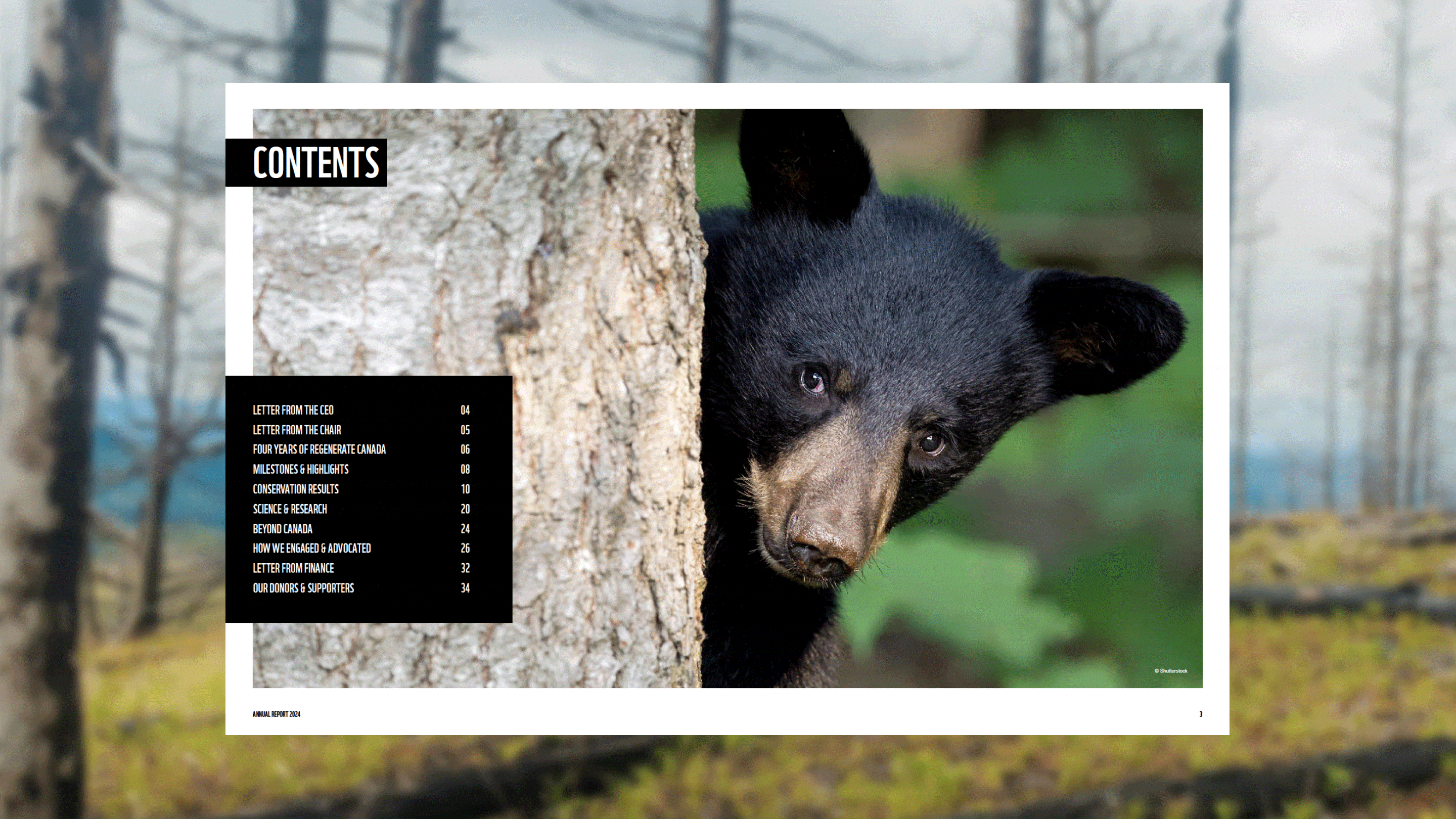 WWF-Canada 2024 Annual Report print version
