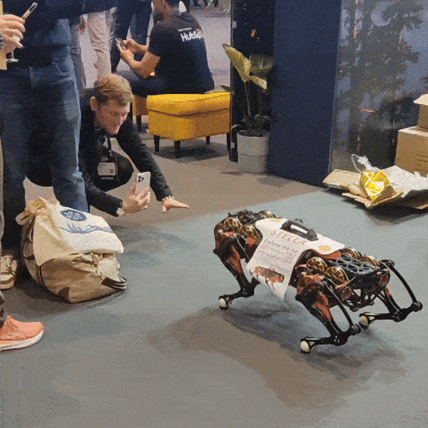 Pet-like robots paving the future