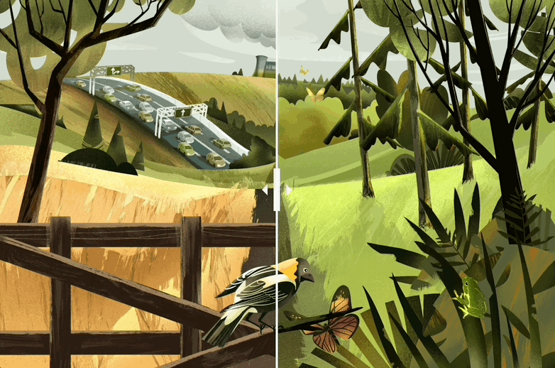 Interactive slider created on Juxtapose for WWF