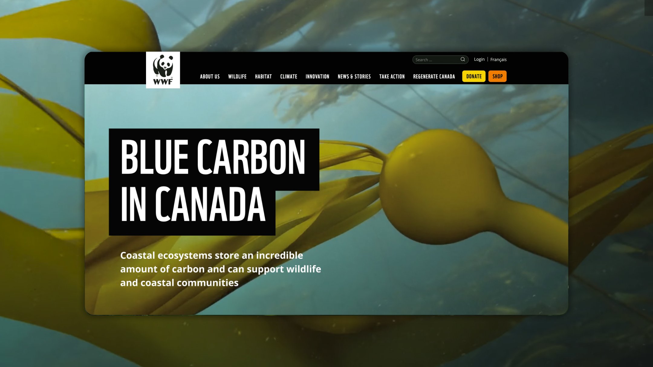 Webinar unleash power hero 1