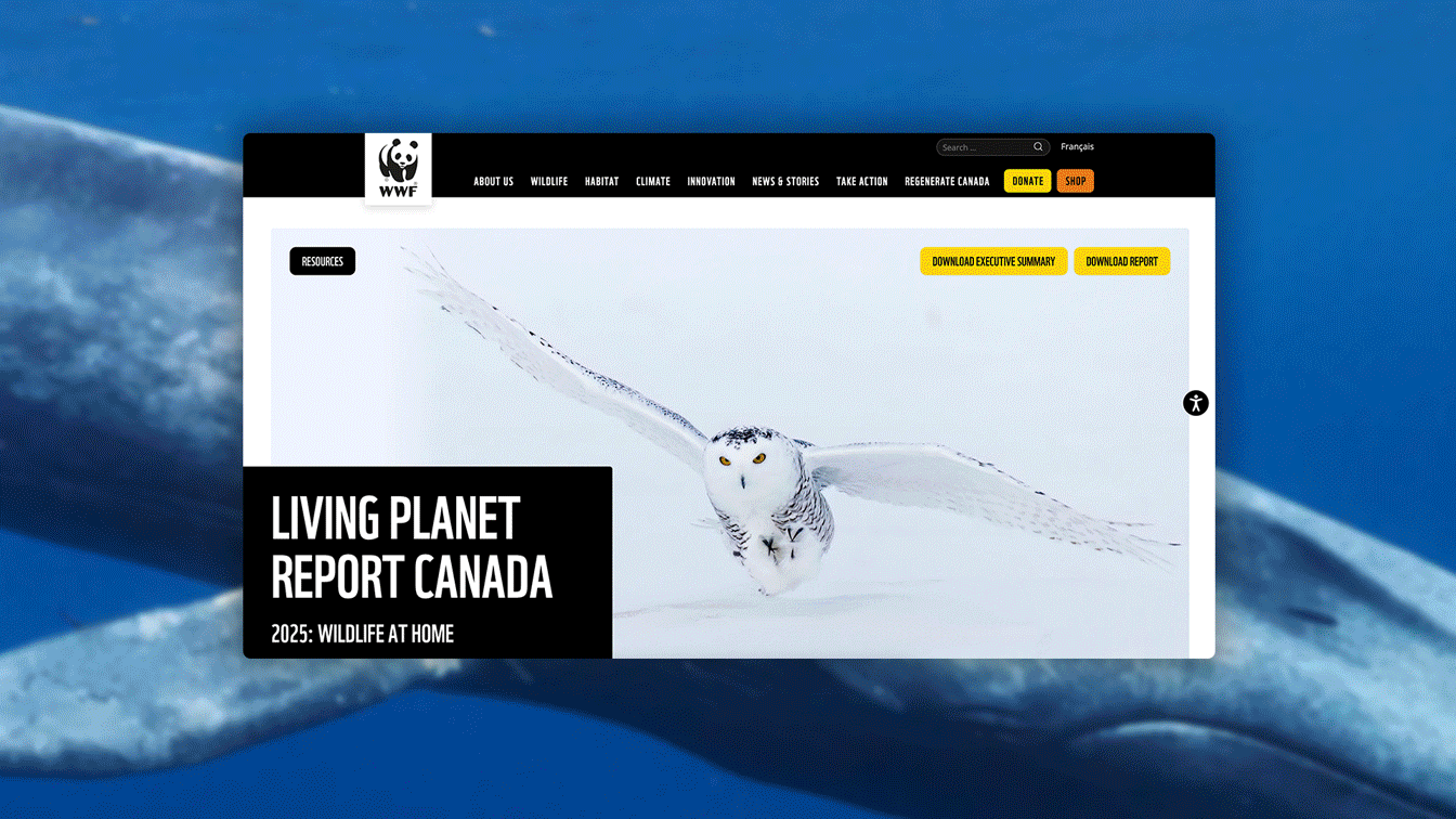 Your 2025 data, reimagined for engagement: 5x enterprise examples of interactive timelines