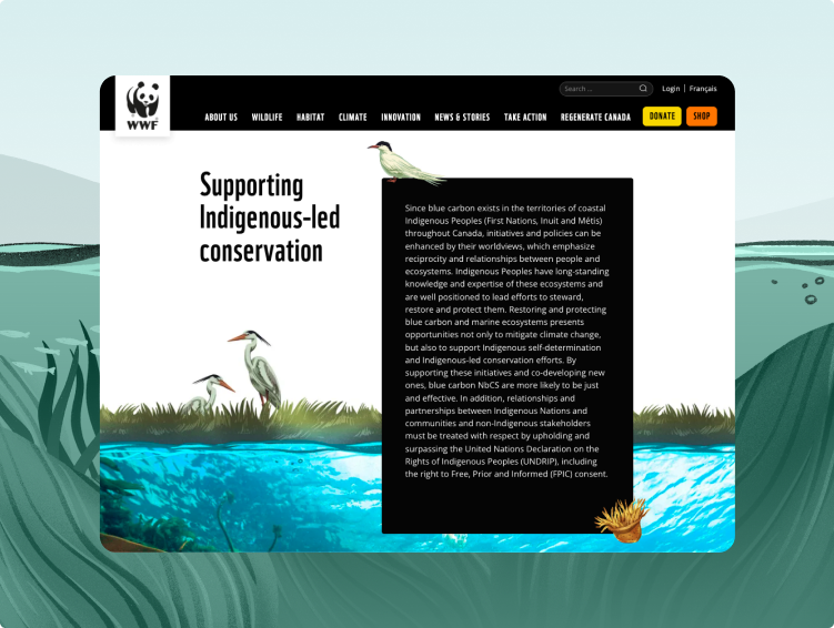 Desktop display of the WWF Blue Carbon interactive page