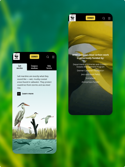 Mobile display of the WWF Blue Carbon interactive pages