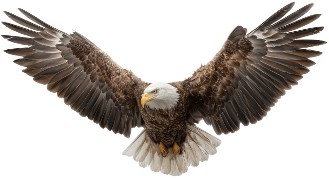 Eagle